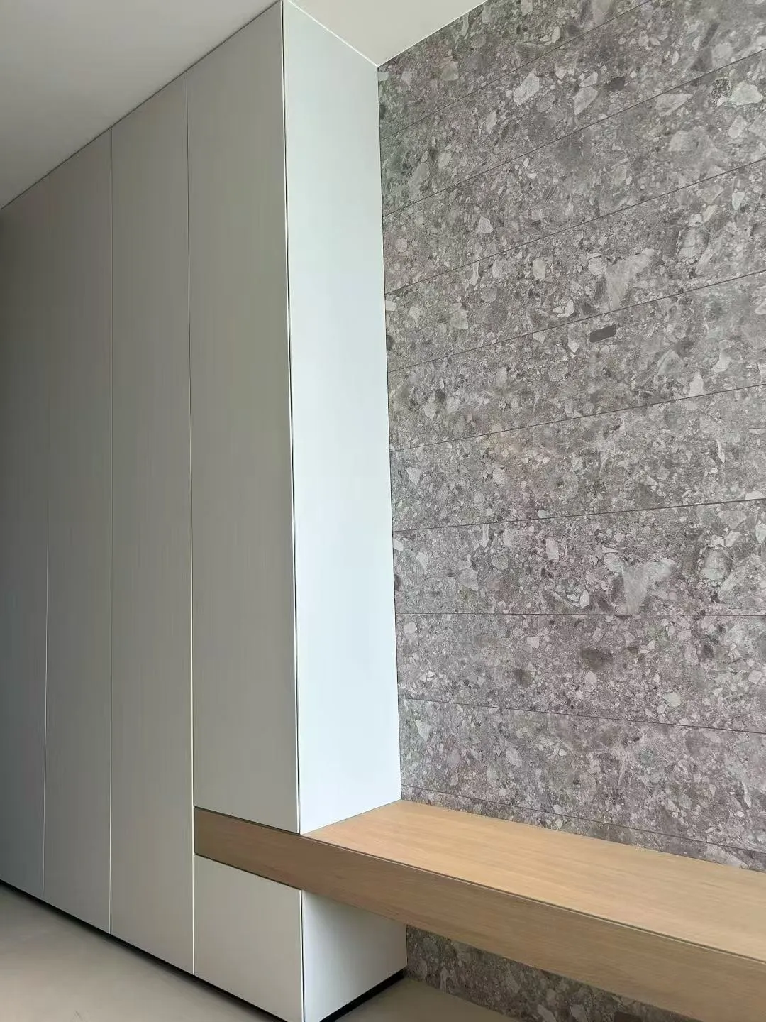 Organic Modern Entrance Hall with Terrazzo Look Tiles