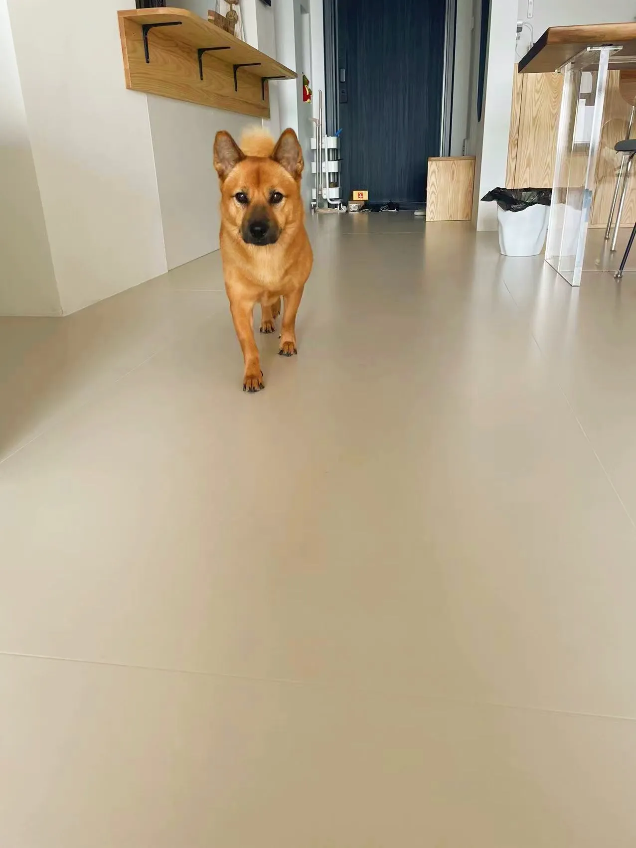 Warm Minimalism Apartment with Microcent Tiles - Warm Minimalism Living Room with Microcent Tiles 3